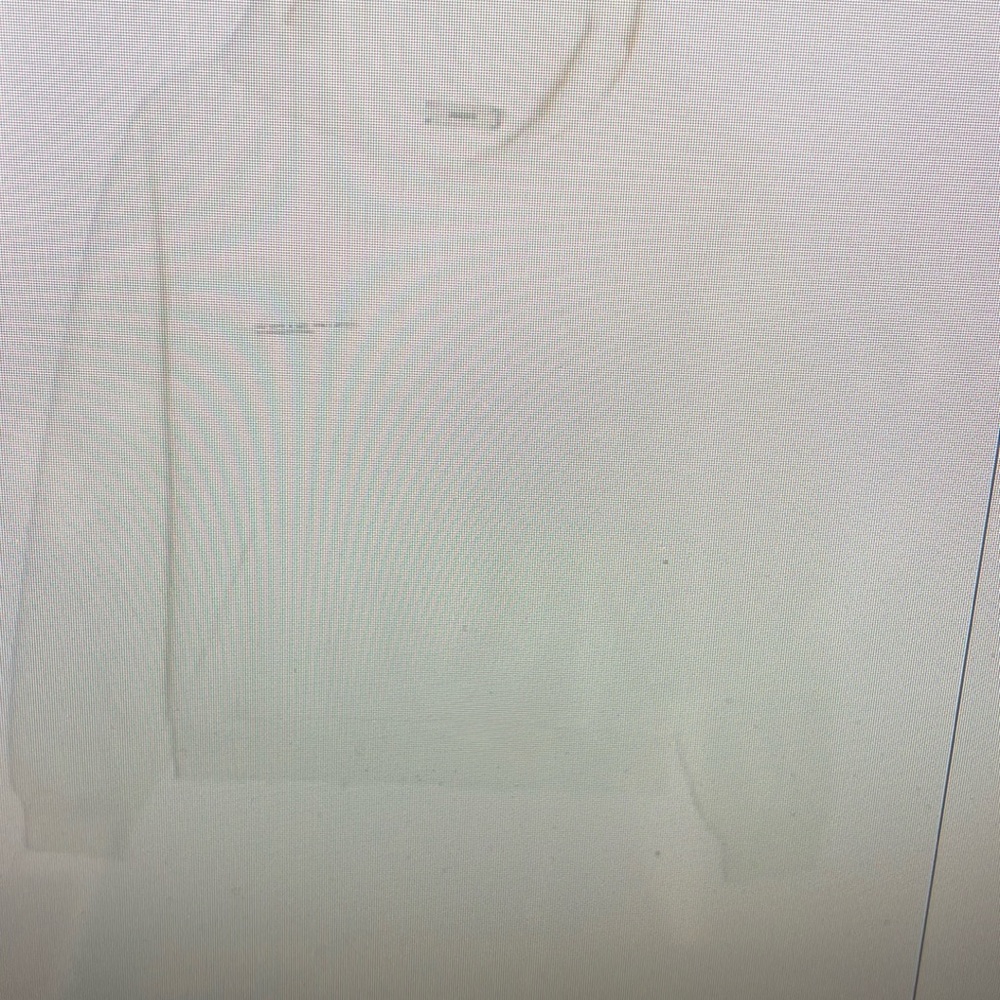 Pangaia heavyweight hoddie